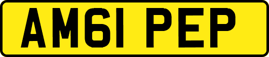 AM61PEP