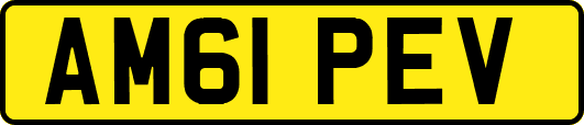 AM61PEV