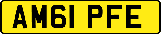 AM61PFE