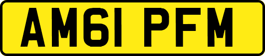 AM61PFM