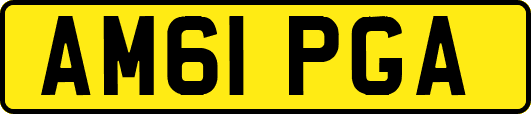 AM61PGA
