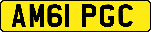 AM61PGC