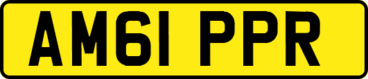 AM61PPR