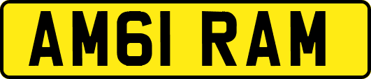 AM61RAM