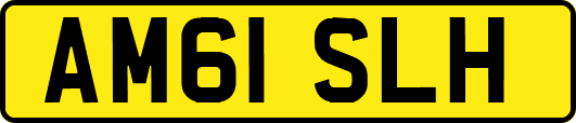 AM61SLH