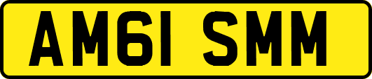 AM61SMM
