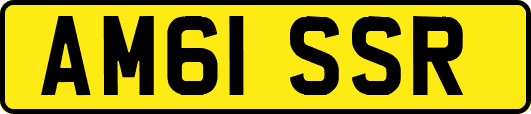 AM61SSR