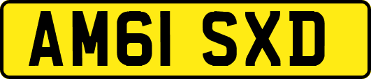 AM61SXD