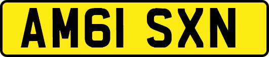 AM61SXN