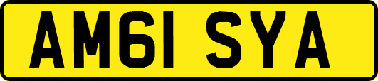 AM61SYA