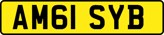 AM61SYB
