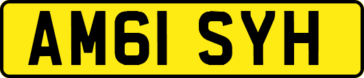 AM61SYH