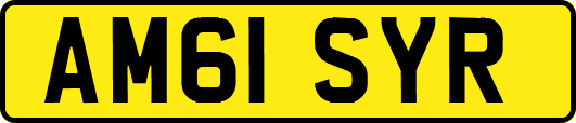 AM61SYR