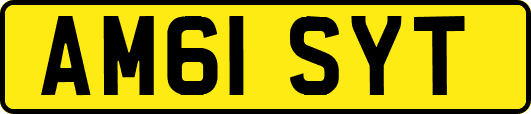 AM61SYT