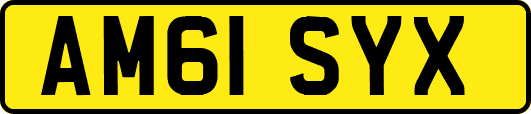 AM61SYX