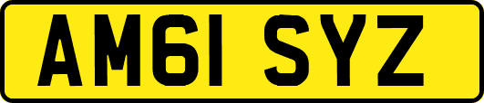 AM61SYZ