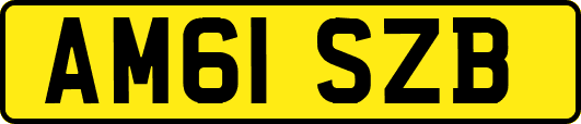 AM61SZB