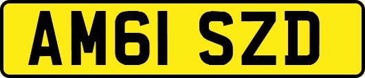 AM61SZD