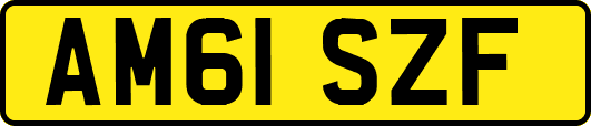 AM61SZF