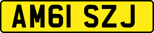 AM61SZJ