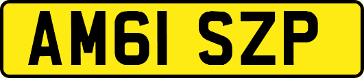 AM61SZP