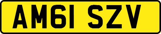 AM61SZV