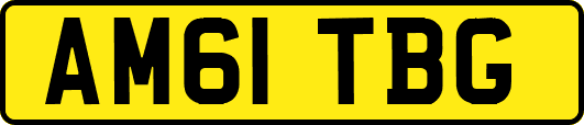 AM61TBG