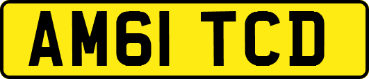 AM61TCD