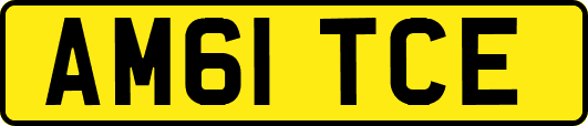 AM61TCE