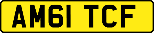 AM61TCF