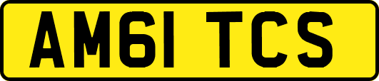 AM61TCS