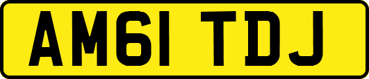 AM61TDJ