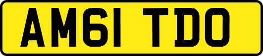 AM61TDO