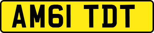 AM61TDT