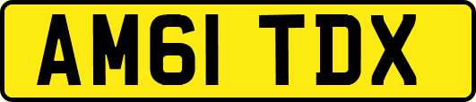 AM61TDX