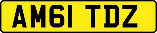 AM61TDZ