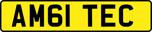 AM61TEC