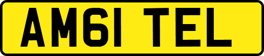 AM61TEL