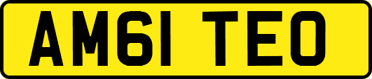 AM61TEO