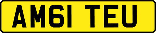 AM61TEU