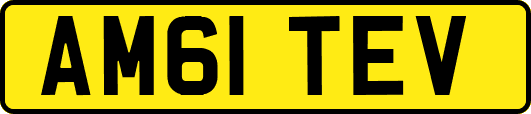 AM61TEV