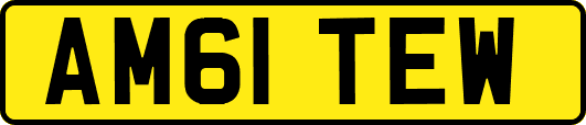 AM61TEW