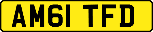 AM61TFD