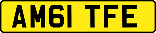 AM61TFE