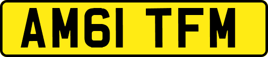 AM61TFM