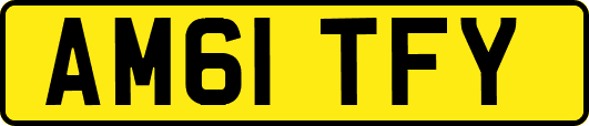 AM61TFY