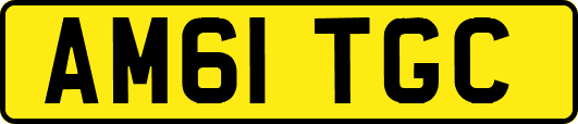 AM61TGC
