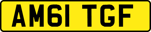 AM61TGF