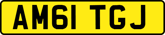 AM61TGJ