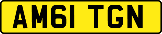 AM61TGN